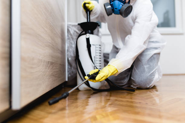  Mount Zion, IL Pest Control Pros