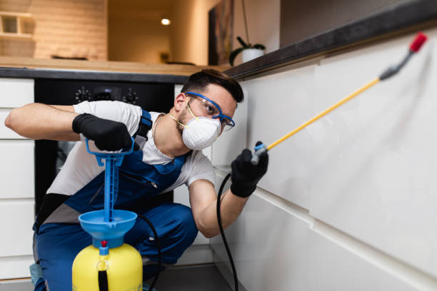 Pest Control for Restaurants in Mount Zion, IL