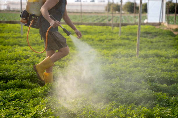 Best Pest Removal Services  in Mount Zion, IL