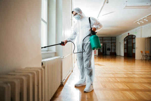 Best Pest Control Treatment  in Mount Zion, IL