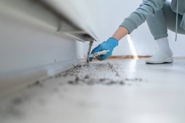 Best Residential Pest Control  in Mount Zion, IL